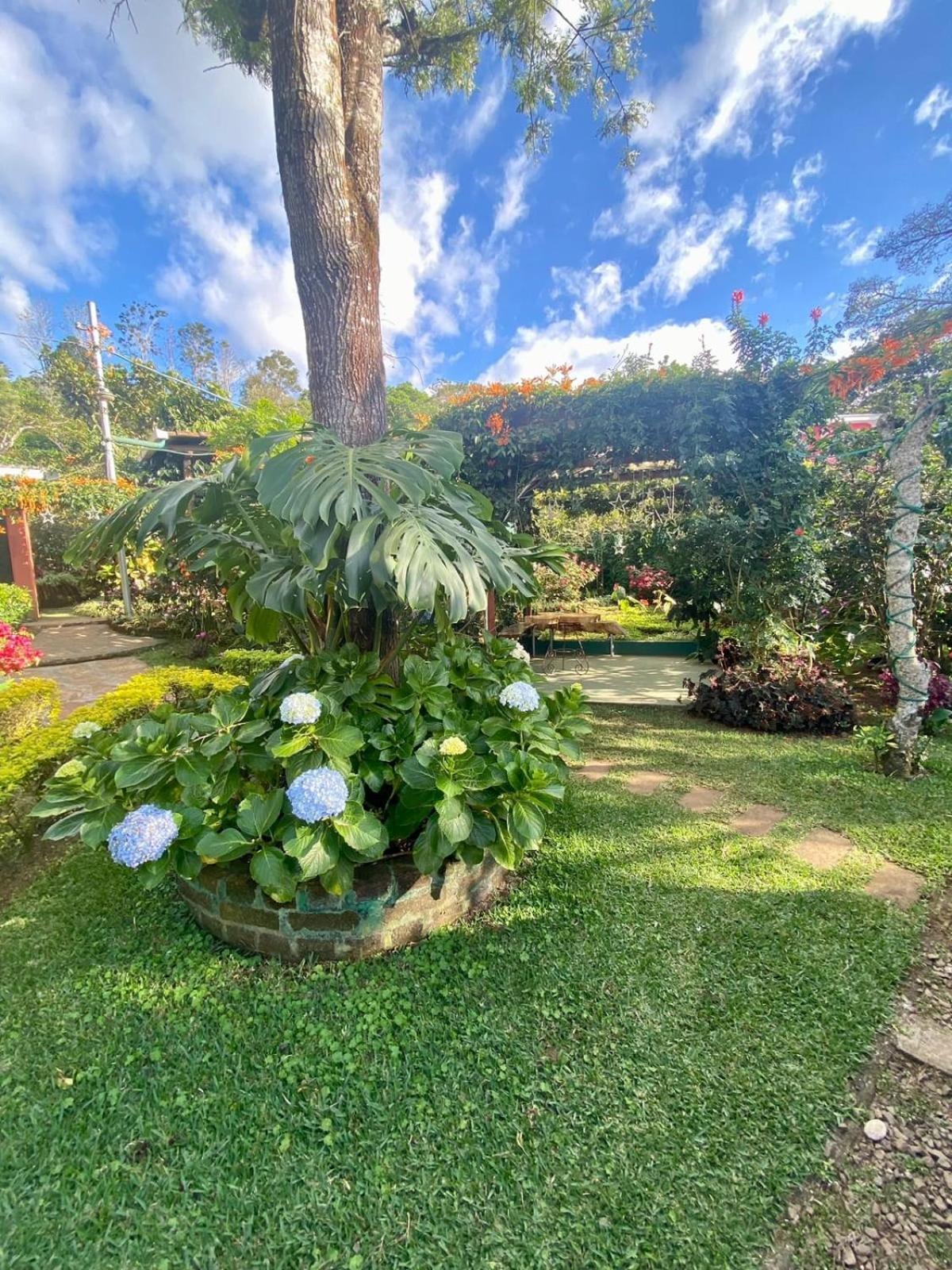 Villa Castillo De Ensueno Concepción de Ataco Exteriér fotografie